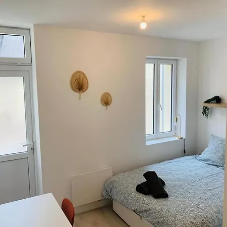 Studio A 6 Min A Pied Du Centre Albi Exterior photo